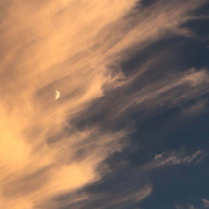 黑人把逼操出水的视频了
