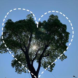 黑人把逼操出水的视频了
