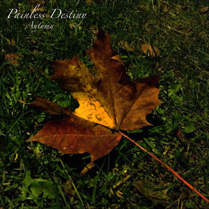 黑人把逼操出水的视频了
