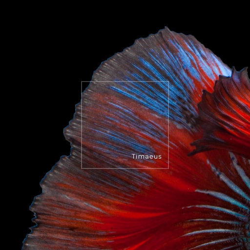 黑人把逼操出水的视频了
